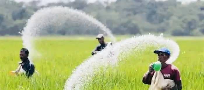 সারের কোনো সংকট নেই, ঘাটতি অভিযোগ সঠিক নয়: বাণিজ্য প্রতিমন্ত্রী