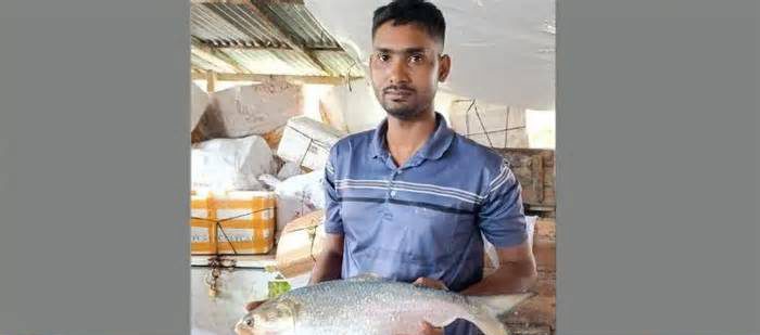 এক রাজা ইলিশ ১৬ হাজারে বিক্রি