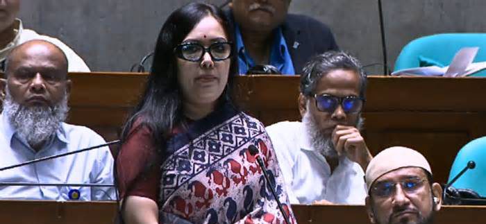 এই সংসদে ভিন্নমতের কোনো বক্তব্য দেওয়া যায় বলে মনে হয় না: রুমিন ফারহানা