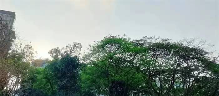 ঢাকার বায়ুর মান আজ অস্বাস্থ্যকর