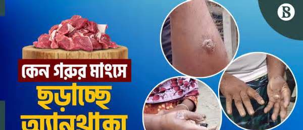 গরুর মাংস ছুঁলেই হাতে ফোস্কা; আক্রান্ত শতাধিক