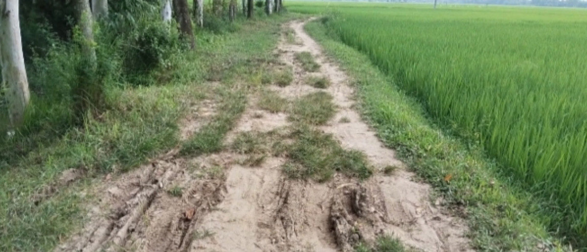 কালাইয়ে তিন দশক ধরে রাস্তাবিহীন বান্ডইল গ্রাম