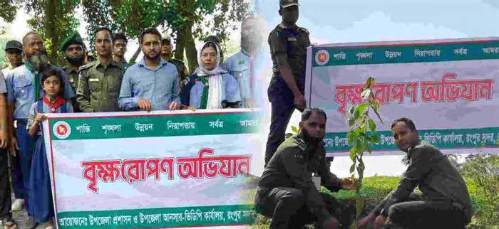 রংপুর সদরে আনসার-ভিডিপির বৃক্ষরোপণ কর্মসূচি