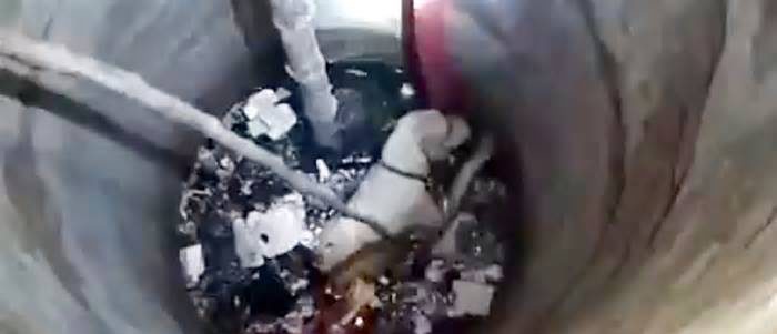একটি প্রাণ বাঁচাতে লড়ছিল পুরো গ্রাম, ফায়ার সার্ভিস কর্মকর্তার বিরুদ্ধে খরচ চাওয়ার অভিযোগ