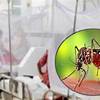 ডেঙ্গুতে ৫ জনের মৃত্যু; হাসপাতালে নতুন ভর্তি ১৯২০