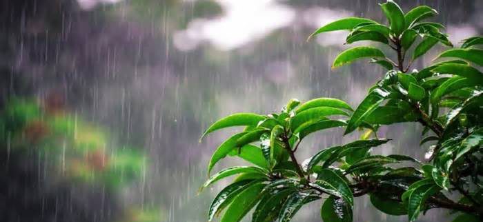 দেশের তিন বিভাগে বজ্রসহ বৃষ্টির আভাস