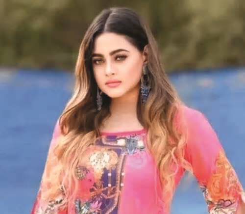 ক্যান্সারে মারা গেলেন মডেল-অভিনেত্রী তুলনা