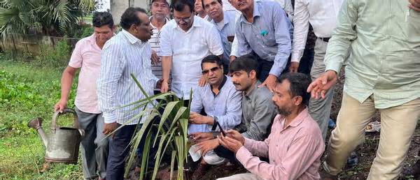 সাতক্ষীরা-খুলনা মহাসড়কের দুই পাশে আরটিভির উদ্যোগে বৃক্ষরোপণ