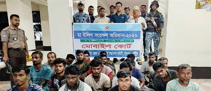 চাঁদপুরে মা ইলিশ শিকারের দায়ে ৬৪৬ জেলে আটক, ১৮৩ জনের কারাদণ্ড