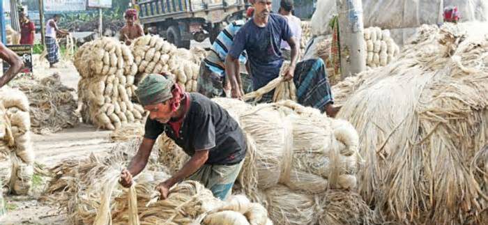 পাটশিল্প পুনরুজ্জীবনে ২৩২০ কোটি টাকার প্রকল্প প্রস্তাব সরকারের